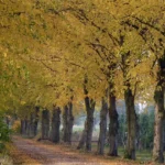Zufahrt – Mühlenhof